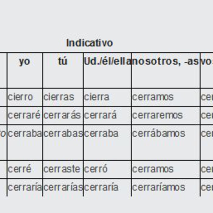 Spanish verbs regular conjugation chart conjugate verb tenses sheet pdf cheat common