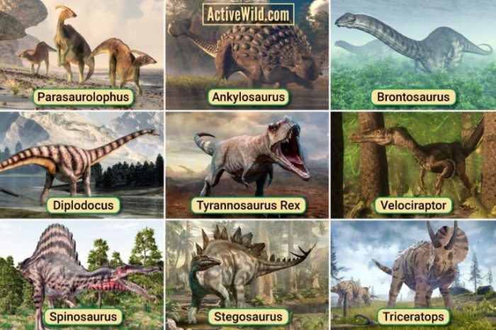 Dinosaurus Populer: Fakta Menarik dan Seru