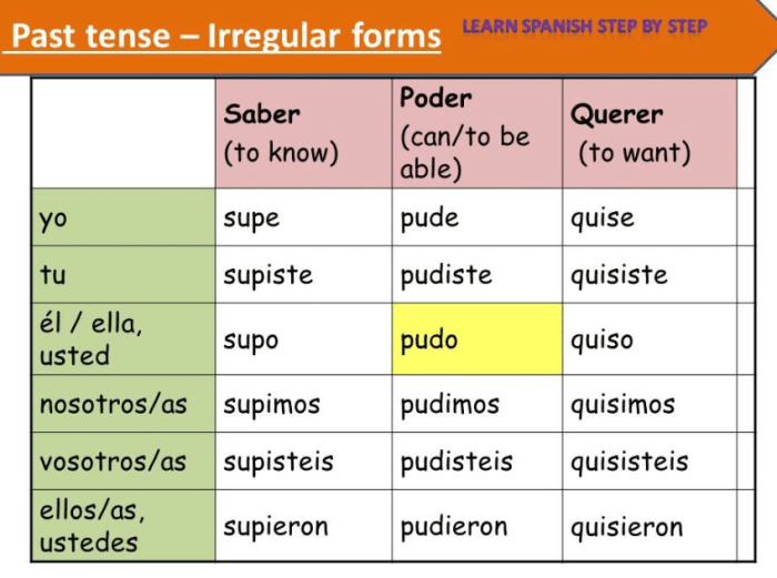 Konjugasi Preterite 'Poner' dalam Bahasa Spanyol