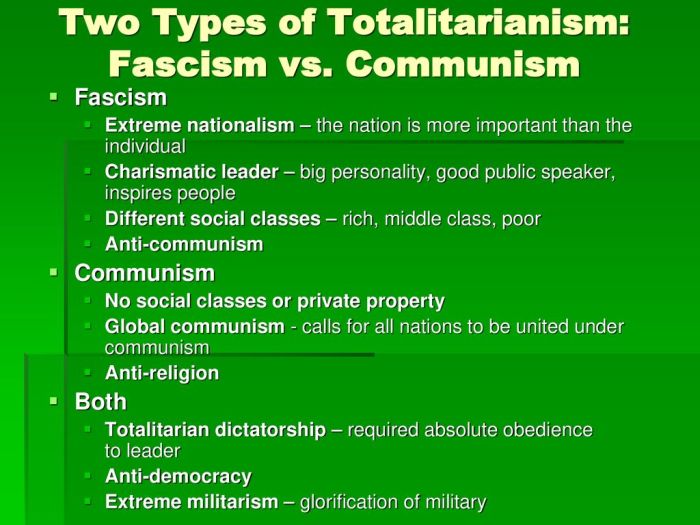 Fascism communism vs rise presentation