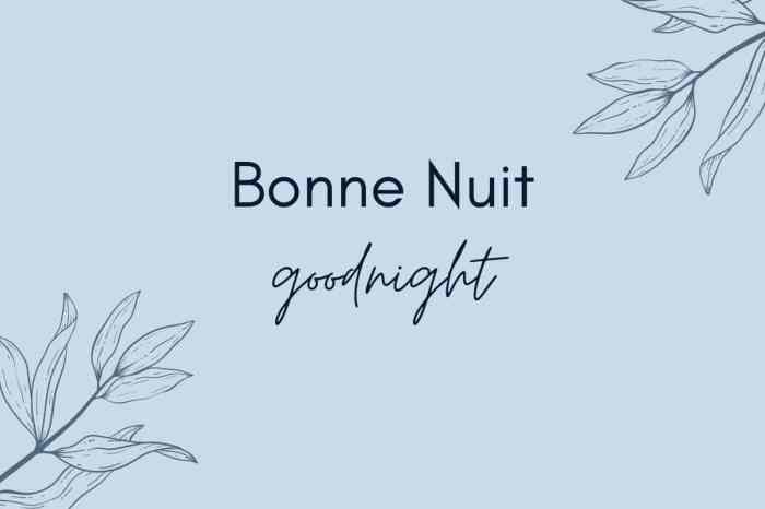 Apa Arti 'B Nuit' dalam Bahasa Prancis dan Kapan Menggunakannya?