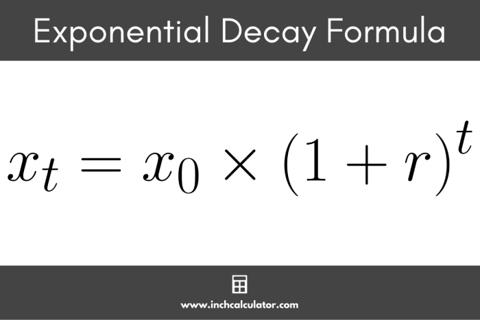 Formula Disipasi Eksponen: Penjelasan dan Contoh