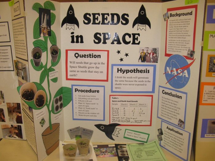 Science fair project projects grade plant ideas fifth grass board growing life 5th school brailey experiments green kids poster middle