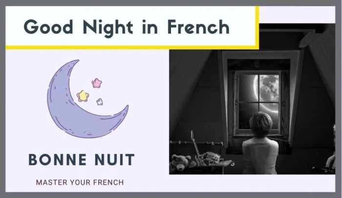 French goodnight say wikihow