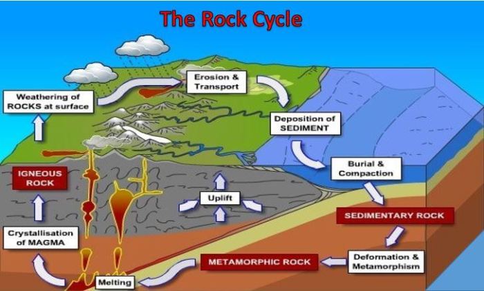 Diagram Siklus Batu: Penjelasan dan Contoh