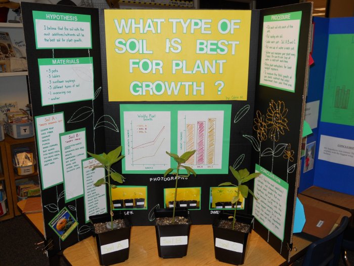 Proyek Sains tentang Tumbuhan: Ide Kreatif