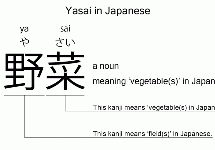 Apa Arti 'Yasashii' dalam Bahasa Jepang dan Kapan Menggunakannya?